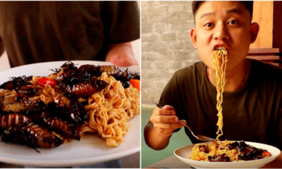 Youtuber Eats Cockroaches With Indomie, Says They Tasted Like Fried Shrimp - World Of Buzz 4
