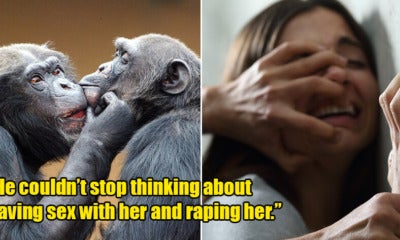 18Yo Saw Chimpanzees Mating On Tv Show, Gets Turned On &Amp; Tells Mum He Wants To Rape Her - World Of Buzz