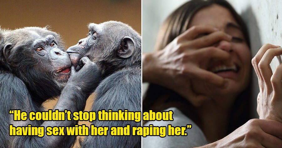 18Yo Saw Chimpanzees Mating On Tv Show, Gets Turned On &Amp; Tells Mum He Wants To Rape Her - World Of Buzz