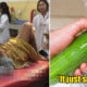 51Yo Sent To Hospital When She Fell &Amp; A Cucumber Accidentally Got Shoved Up Her Vagina - World Of Buzz