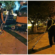 Mpkj Dog Catchers Drag &Amp; Steps On Puppies After They Were Called In Due To Stray Dog Disturbances - World Of Buzz