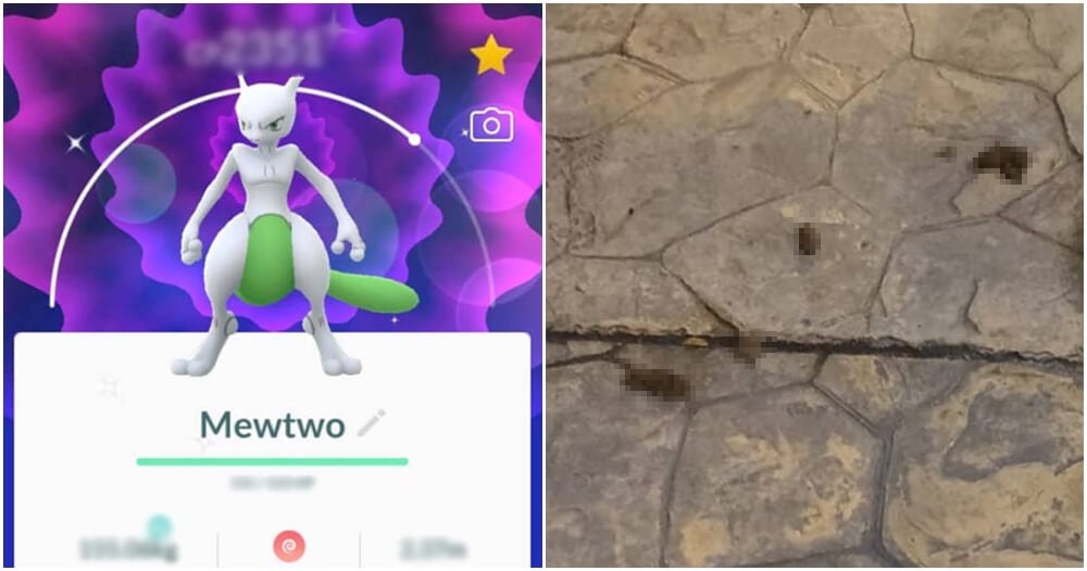 Because Of Shiny Mewtwo, He Became The Happiest Guy To Step On Dog Poop - World Of Buzz 2