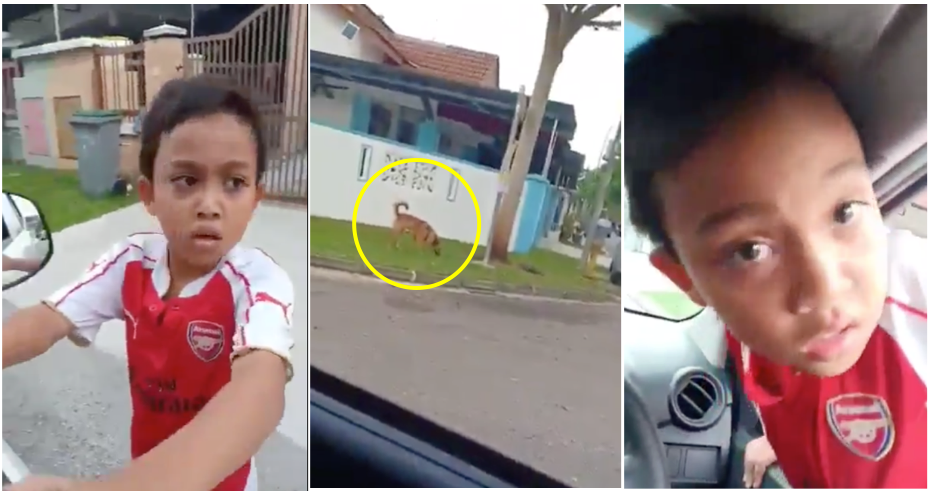Boy Jumps Into Random Mak Cik'S Car Because He Was Too Scared Of A Dog - World Of Buzz 5