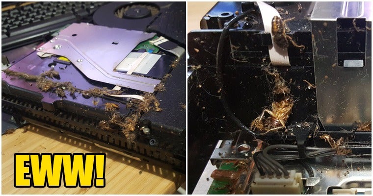 Ewwww!!! His Ps4 Was Infested With Roaches And Apparently Its Common - World Of Buzz 18