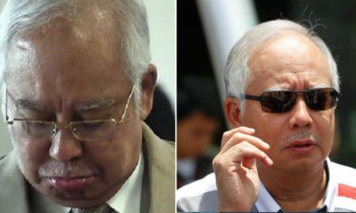 Najib Cancelle - World Of Buzz