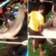 Two Fishermen Caught Illegally Capturing 30 Dolphins In M'Sian Waters To Make Dried Meat - World Of Buzz
