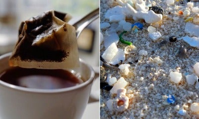 Study: Tea Bags Can Contaminate Our Drink With Tiny Particles Of Microplastics - World Of Buzz