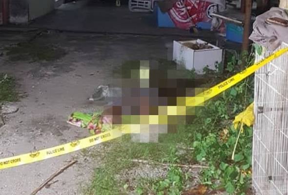 Foreign Tenant In Pj Murdered For Accidentally Spilling Water On Landlady's Son When Feeding Stray Cats - World Of Buzz 2