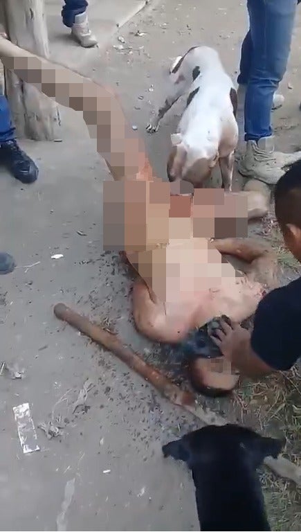 Gang Punishes Rapist By Stripping Him Naked & Allowing Dog to Tear Off His Genitals - WORLD OF BUZZ 1