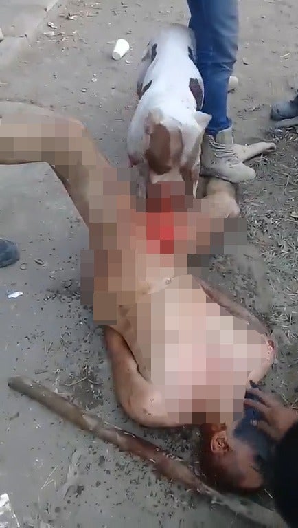Gang Punishes Rapist By Stripping Him Naked &Amp; Allowing Dog To Tear Off His Genitals - World Of Buzz 3