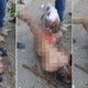 Gang Punishes Rapist By Stripping Him Naked &Amp; Allowing Dog To Tear Off His Genitals - World Of Buzz 5