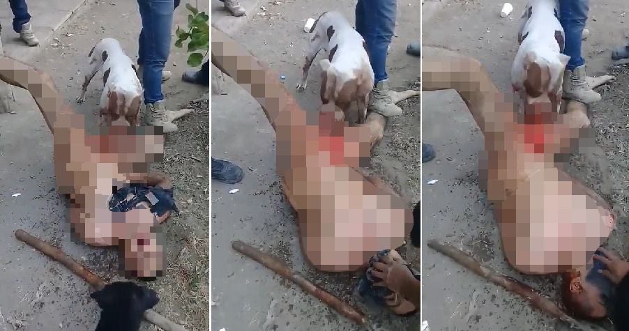 Gang Punishes Rapist By Stripping Him Naked & Allowing Dog to Tear Off His Genitals - WORLD OF BUZZ 5