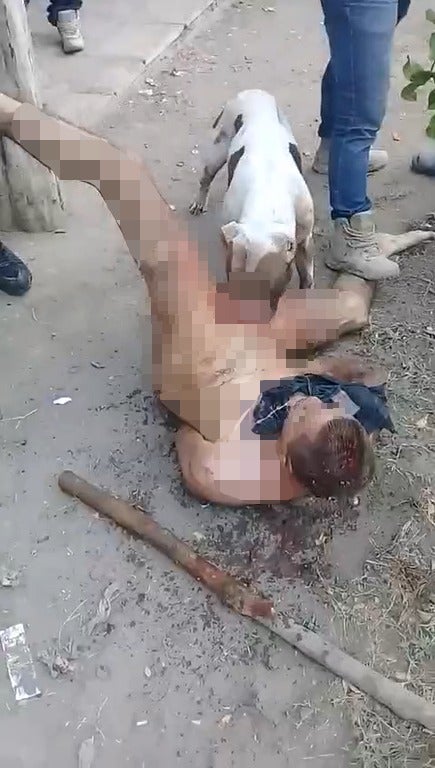 Gang Punishes Rapist By Stripping Him Naked & Allowing Dog to Tear Off His Genitals - WORLD OF BUZZ