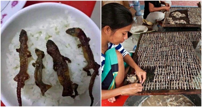 Lizard Rice Cooking Roasted 'Lizard Rice Bowls' are Very Popular In Indonesia & Netizens ...