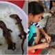 'Gecko Rice Bowls' Are Hugely Popular In Vietnam, And Netizens Are Grossed Out! - World Of Buzz