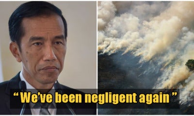 Indonesia Admits The Haze Is Their Fault At Last, So... What Now? - World Of Buzz