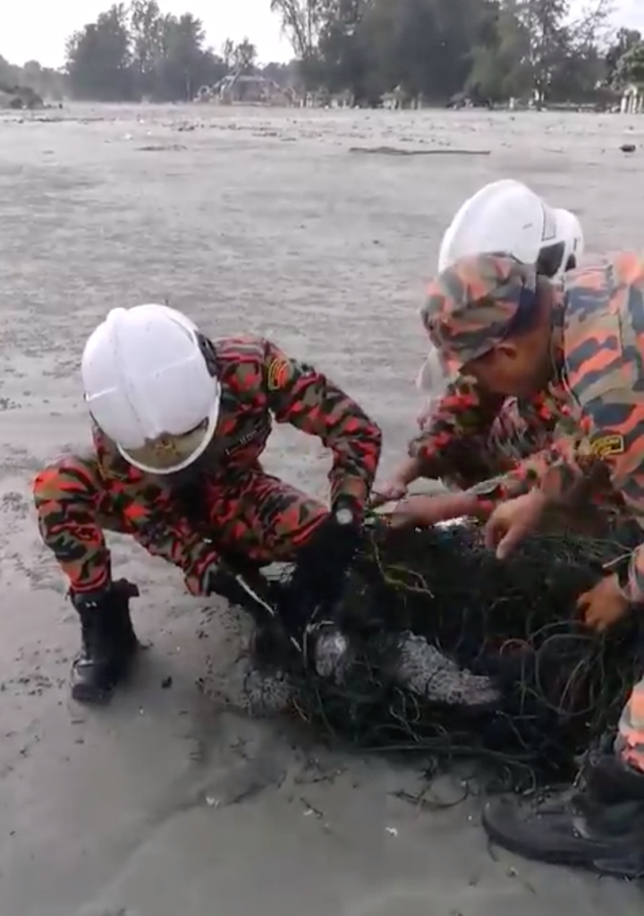 Johor's Abang Bomba Races Against Time To Save A Turtle Entangled In Ghost Net - WORLD OF BUZZ 1