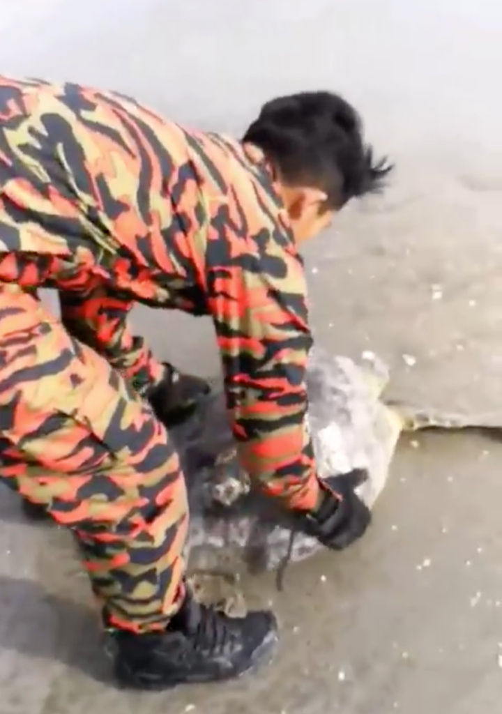 Johor's Abang Bomba Races Against Time To Save A Turtle Entangled In Ghost Net - WORLD OF BUZZ 4