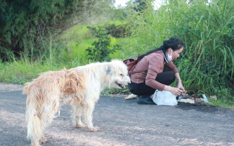 Lost Doggy Waits Faithfully By Roadside For Owner, Finally Reunited 4 Years Later - World Of Buzz 3