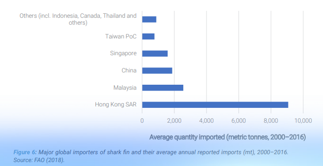 Malaysia Recorded As The World 2nd Largest Importer Of Shark Fins In The Entire World - WORLD OF BUZZ