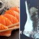 Man'S Liver Gets Infected With Parasitic Worms After He Ate Raw Seafood For 3 Years - World Of Buzz 2