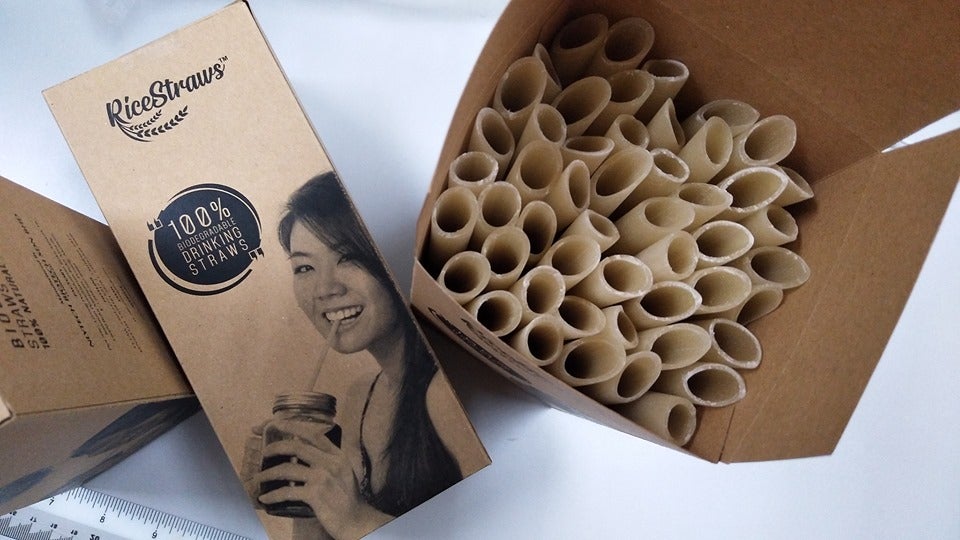 Now You Can Drink Boba While Being Eco-Friendly With This Edible Straw! - WORLD OF BUZZ 1