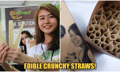Now You Can Drink Boba While Being Eco-Friendly With This Edible Straw! - World Of Buzz