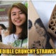 Now You Can Drink Boba While Being Eco-Friendly With This Edible Straw! - World Of Buzz