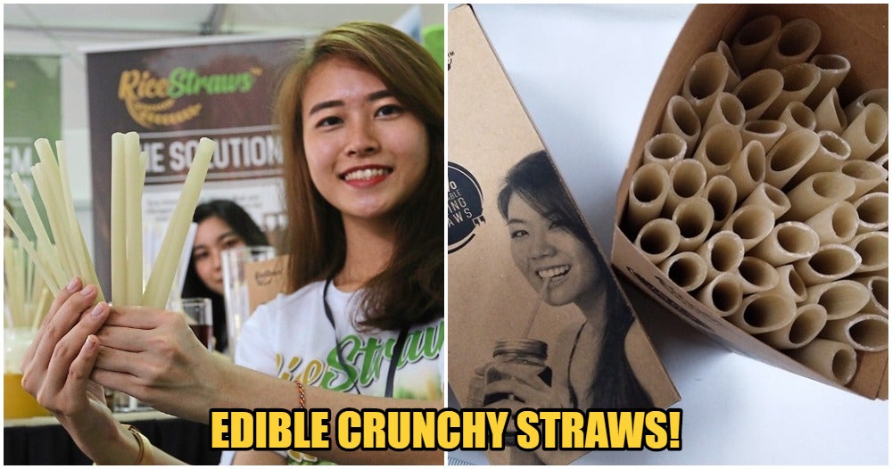 Now You Can Drink Boba While Being Eco-Friendly With This Edible Straw! - WORLD OF BUZZ