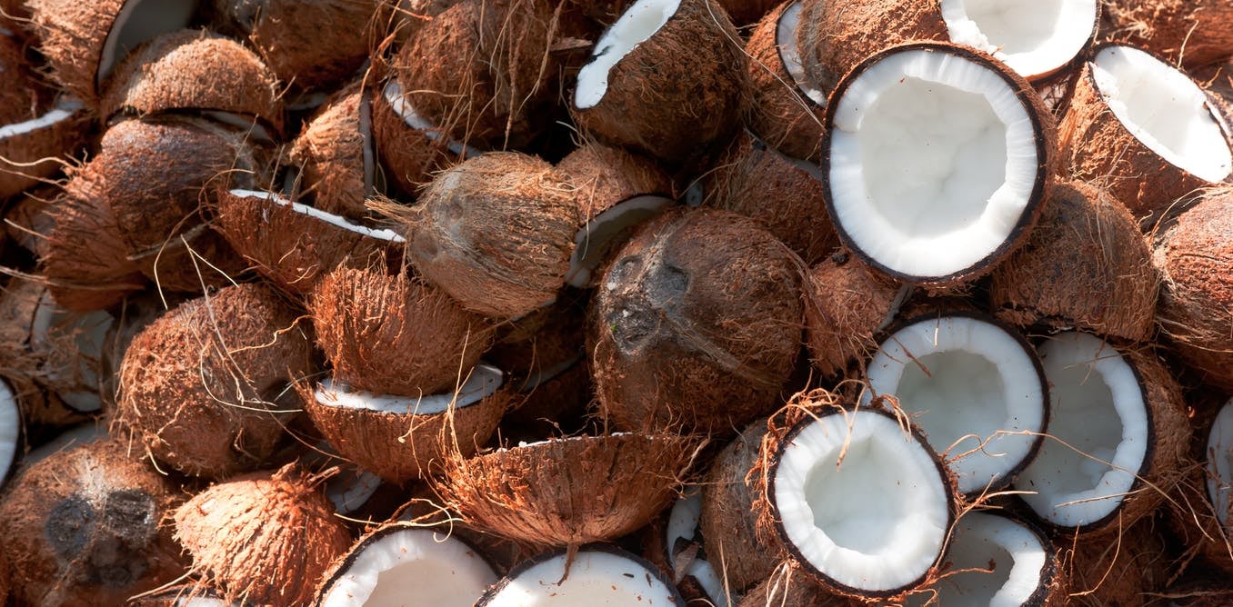 Recycled Coconut Husks can Replace Wood - WORLD OF BUZZ 1