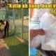 Upsr Student Picks Up Rubbish At Public Park, Scolds Elder Brother For Taking Video Instead Of Helping Out - World Of Buzz 1