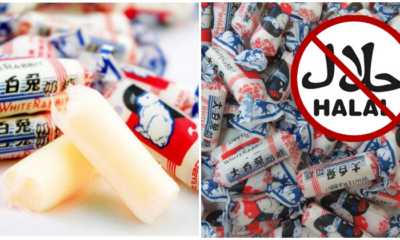 White Rabbit Candy Officially Not Halal, Contains Pig &Amp; Cow Dna - World Of Buzz