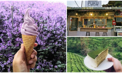 18 Amazing Things To Do In Cameron Highlands That'Ll Instantly Tempt You To Make A Trip There! - World Of Buzz