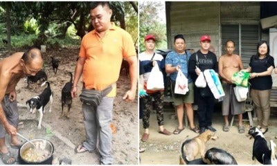 60Yo Negeri Sembilan Uncle Feeds Stray Dogs Even Though He Barely Has Enough Money To Afford His Meals - World Of Buzz