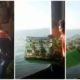 Smugglers Threw Exotic Animals Into The Ocean In Fear Of Getting Caught By Marine Police - World Of Buzz