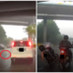 Kucing Stuck In The Middle  Saved By Myvi Driver &Amp; Motorist On Jalan Kuching, - World Of Buzz
