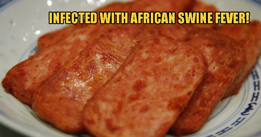 Beware: China-Made Luncheon Meat Has Tested Positive For African Swine Fever in S'wak - WORLD OF BUZZ