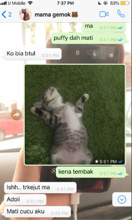 Cute Mother Threaten To Cook Daughter's Kitty If She Doesn't Tapau Food Back Home - WORLD OF BUZZ 2