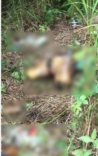 Dismembered Body Found Brutally Chopped Into EIGHT Pieces In Malacca, Believed To Have Been Dead For Five Days - WORLD OF BUZZ