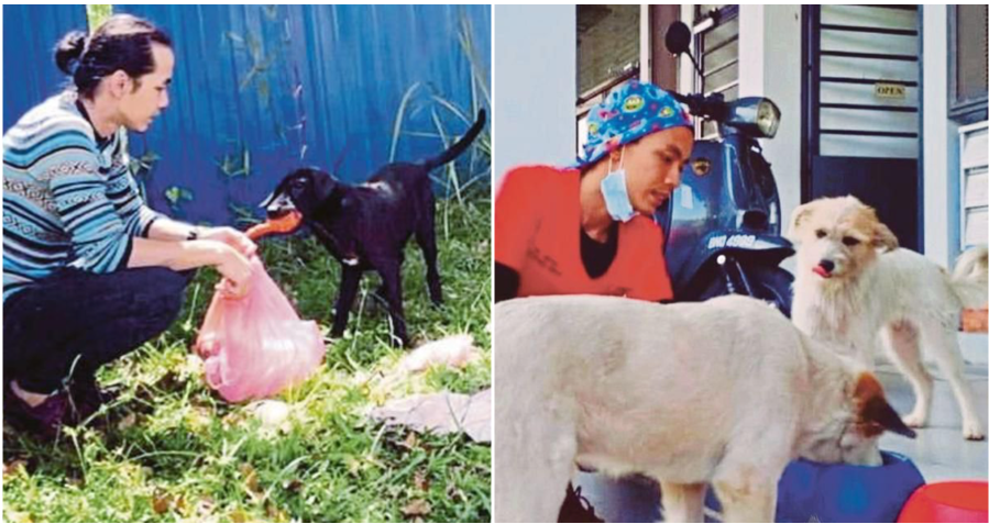 Doctor Uses His Own Money To Treat 200 Stray Dog Even Though He Is Mocked By The Public - World Of Buzz 3