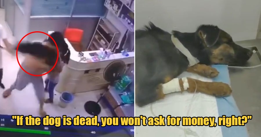 Violent Pet Owner Takes Home Sick Dog After He Violently Threw It To The Floor To Kill It - World Of Buzz