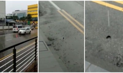 Fish Found Swimming On Batu Pahat Road After Rainfall Astonishes Netizen - World Of Buzz 3