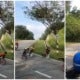 Foodpanda Rider Joins Lajak Bike Kids As They Engage In A Race - World Of Buzz 2