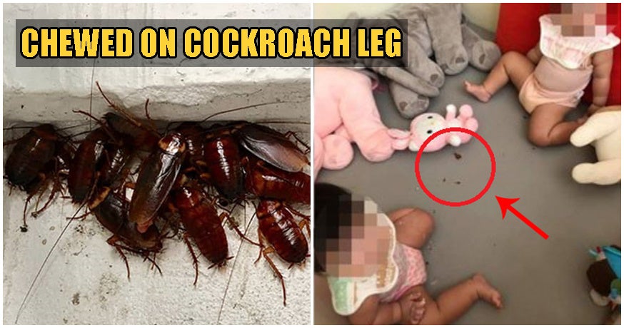 horrified mum finds toddler daughters eating cockroaches when left to play alone world of buzz 1