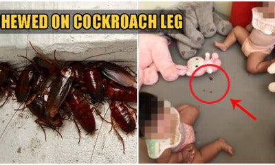Horrified Mum Finds Toddler Daughters Eating Cockroaches When Left To Play Alone - World Of Buzz