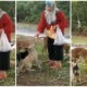 Malay Lady Feeding A Pack Of Dogs Gets Thumbs Up From Netizen, Says That It Was A First For Him - World Of Buzz 1