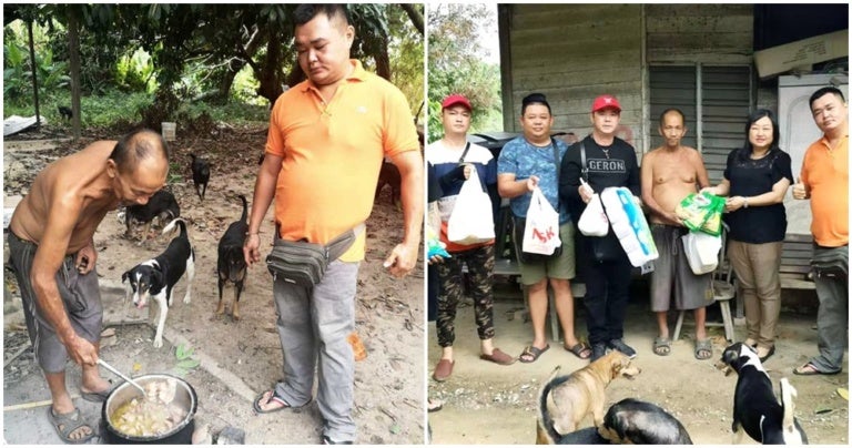 Malay Lady Feeding A Pack Of Dogs Gets Thumbs Up From Netizen, Says That It Was A First For Him - WORLD OF BUZZ