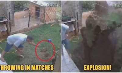 Man So Determined To Destroy Cockroach Nest, Uses Fire &Amp; Gasoline, Blows Up Garden Accidentally - World Of Buzz 2