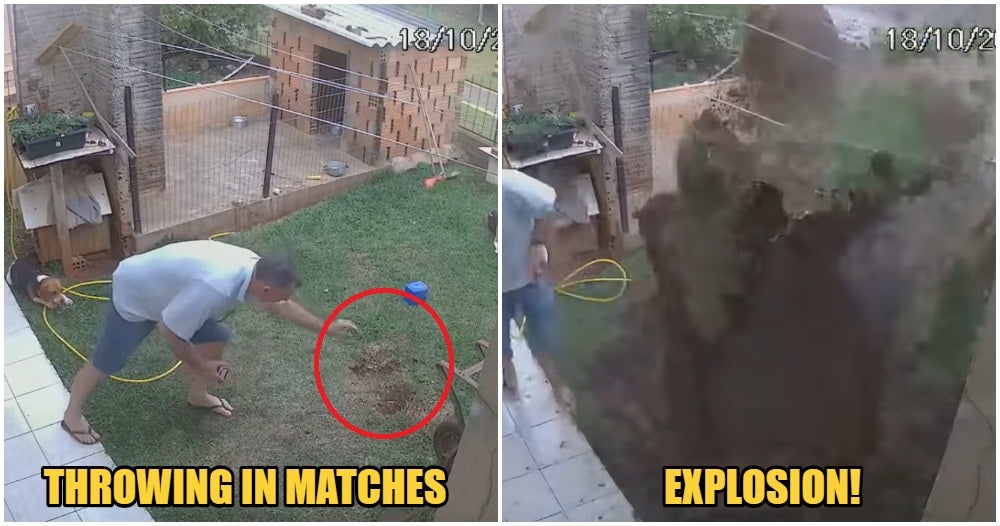 Man So Determined To Destroy Cockroach Nest, Uses Fire & Gasoline, Blows Up Garden Accidentally - WORLD OF BUZZ 2