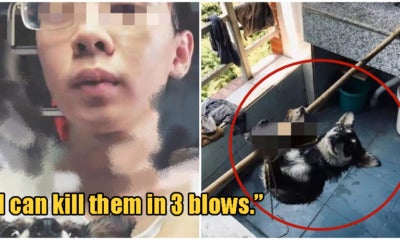 Masters Student Tortures, Dismembers Stray Dogs Before Cooking Them, Says He'S Helping Society - World Of Buzz